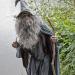 UILYNIU Wizard Wig and Long Beard Men's Long Curly Grey Wig Cosplay Wizard Sorcerer Prophet Wig for Carnival Halloween Christmas Costume Wigs Old Men Cosplay Wig Adult Fancy Dress Party Wig (Grey) - Buy Online on GoSupps.com