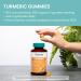 Himalaya Turmeric Gummies Herbal Gummy Supplement for Joint Health Mango Flavor Vegan Gluten Free 285 mg 60 Gummies - Buy Online on GoSupps.com