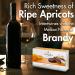 Anthon Berg Apricose in Brandy - 220g | Buy Premium Chocolate Online - International Shipping - Buy Online on GoSupps.com