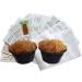 2 LARGE PORTION CUPS of Live Florida Sun Kefir LARGE Water Kefir Grains (Tibicos) Natural Probiotics