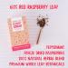 Red Raspberry Leaf Tea Pregnancy Preconception PMS | Natural Biodegradable Baby Shower Pamper Kit | Nipper & Co (14 Reusable Bags 42 Cups) - Buy Online on GoSupps.com