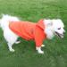 Shop Hualisiji XL Orange Dog Hoodie - Warm & Lightweight Fleece Sweater for Chihuahuas | Soft Easy to Wear - Buy Online on GoSupps.com