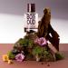 SOLINOTES Oudwood Perfume for Men - Eau De Parfum | Enchanting Woody and Musky Scent - Made in France - Vegan - 1.7 fl.oz - Buy Online on GoSupps.com