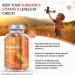 Vitamin D Gummies Kids 1000IU - Natural Orange Flavour - 4 Months Supply (120 Gummies) - Vegetarian & Gluten-Free for Kids 3-12 - Buy Online on GoSupps.com