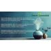 Baby Powder 10ml (0.35fl oz) Premium Fragrance Oil Aromatherapy Diffuser Crafts Soap Home Scents Bath & Body DIY Parfum and Much More. Versatile & Long-Lasting by Sweet Essentials - Buy Online on GoSupps.com