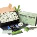 Argile Verte de l'Oural | 1000g Argile Verte Naturelle Vert Pastel Verdoyant - Croquant Etonnant Texture Terreuse Velout e et Ferme Satisfaisante Sensation ASMR - Buy Online on GoSupps.com