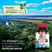 FITO MEDIC'S Lab | Vitamin b12 | 6000 mcg | 240 Servings | b12 sublingual | b12 | b12 Vitamins | Ultra high Absorption s. 240 Count (Pack of 1) - Buy Online on GoSupps.com
