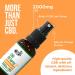 CBDFX 2000mg CBD Spray High Strength Flavoured CBD Oil Zesty Orange Vegan Non-GMO Blended with MCT Oil Improved Purity All Natural No THC 30 ml (40 Days) - Buy Online on GoSupps.com