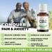 ULTRA CB2 OIL FOR PAIN & STRESS - Ultra Strength - Natural Pain Relief / Reduces Inflammation / Relieves Stress. Stronger and More Effective Than Hemp Oil / Hemp Gummies. Enhances Sleep and Mood. Feel Calm and Relaxed. Feel Like Your True Self Again 15mL  - Buy Online on GoSupps.com