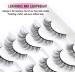 TTFOYC 10 Pairs Wispy Lashes 15mm Strip Cat Eye Lashes Wispy Faux Mink Eyelashes for All-Day Wear  - Buy Online on GoSupps.com