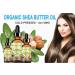 Botanical Beauty Organic Shea Butter Oil - 100% Pure Cold Pressed Carrier Oil for Face Skin Hair Lips & Nails - 4 Fl. oz. (120 ml) - Authentic African Shea Nut Oil - Buy Online on GoSupps.com