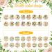 16-Piece Wooden Jungle Animal Baby Milestone Cards | Double-Sided Safari Monthly Markers for Newborn Photos | Baby Shower Photo Props - Buy Online on GoSupps.com