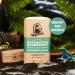 Buy Dr. Squatch Natural Deodorant for Men - 3 Pack Rainforest Rapids | Aluminum-Free Odor Protection - Buy Online on GoSupps.com