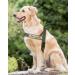 Buy Eeyfarog No Pull Dog Harness for Small & Medium Dogs - Adjustable Reflective Safe & Comfortable - XL Green - International Shipping Available - Buy Online on GoSupps.com