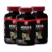 hoodia hoodia gordonii - Powerful HOODIA GORDONII 2000 Mg - hoodia gordonii Tincture Extract - Hoodia gordonii Pills - hoodia gordonii Plant - hoodia Cactus Supplement - hoodia Extract - 3Bot 180Tabs