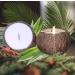 Coconut Bowl Candle - 14oz Premium Soy - Eco-Friendly Coconut Scented Candle in Natural Shell - Ideal for Home & Beach D cor - Aromatherapy Experience - Buy Online on GoSupps.com