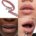 Wonderskin 360 Contour Lip Liner Pencil - Long Lasting Waterproof Lip Liner in Blush - Buy Online on GoSupps.com