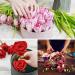 ADXCO 6 Pack Flower Foam Blocks - Large Round DIY Flower Arrangement Kit for Artificial and Fresh Flowers - Wedding and Party Decoration - 6.6 x 1.6 inches - Buy Online on GoSupps.com