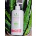 Aurea Aloe Vera Body Milk - Soothing Non-Greasy Moisturizer for All Skin Types - 13.5 Oz - Hypoallergenic & Restoring Skin Elasticity - Buy Online on GoSupps.com