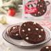 Lenny & Larry's Peppermint Chocolate Complete Cookie - Soft Baked Vegan Protein Snack (12 Pack) - Buy Online on GoSupps.com