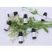 100% Pure Essential Oils Set | Top 6 Natural Oils for Massage Diffusers & Candle Making - Lavender Eucalyptus Orange Peppermint Lemongrass Tea Tree (10ml - Buy Online on GoSupps.com