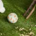 Trixie 6275 Snack Ball - 7 cm Plastic Pet Toy for Dogs & Cats | Order Internationally - Buy Online on GoSupps.com