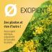 St. John's wort 250 mg - 200 capsules - Ecocert certified - Buy Online on GoSupps.com