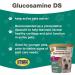 NaturVet Glucosamine DS Maintenance Care Level 1 - 70 Soft Chews for Joint Health (5.4 oz) - Buy Online on GoSupps.com