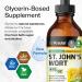 BIO KRAUTER St Johns Wort Tincture - Hypericum Perforatum Liquid Extract for Mood Support - High Absorption - St Johns Wort Alcohol Free Vegan Drops 4 Fl.Oz. 4 Fl Oz (Pack of 1) - Buy Online on GoSupps.com