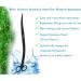 Innotech 25 CM Black Aquarium Scissors | Wave Scissors for Aquatic Plant Care - Ideal for Aquarium Cleaning - Buy Online on GoSupps.com