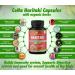 Organic India Haritaki Capsules 2250MG - Rejuvenation, Digestion Support, Non-GMO, Vegan - 120 Caps - Buy Online on GoSupps.com