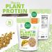 Hearty Plant Protein Crumbles 8 oz - Pea-Based, Non-GMO, Gluten-Free, Vegan Meat Substitute - Pack of 1 - Buy Online on GoSupps.com