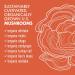 BlueBonnet Nutrition Myco-7 Mushroom Defense 7 Organically Grown U.S. Whole Full-Cycle Mushrooms for Immune & Wellness - Soy-Free Gluten-Free Non-GMO Kosher and Vegan 60 Vegetable Capsules - Buy Online on GoSupps.com