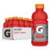 Gatorade Thirst Quencher Bottles Fruit punch pack of 24 Fruit Punch Thirst Quencher
