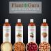 Plant Guru Sweet Almond Oil 32 fl. oz. Cold Pressed Carrier 100% Pure Natural For Skin Body Face and Hair Growth Moisturizer. Great For Creams Lotions Lip balm and Soap Making - Buy Online on GoSupps.com