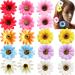 18 Pcs Daisy Hair Clips Pairs of Sweet Flower Hair Clips Suitable for Beach Wedding Bridesmaids  Brides and Flower Girl Hair Accessories Clothing Accessories 18 Colors