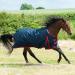 Gallop Trojan 600d Standard Neck 200g Turnout Rug 6'0" (EU 135cm) - Buy Online on GoSupps.com