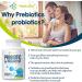 300 Billion CFU Probiotics for Women and Men | 12 Strains Probiotics with Organic Prebiotics | Digestive & Gut Health Support | Immune Boost | 60 Capsules - Buy Online on GoSupps.com
