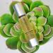 Enlighten Skin Brightener 50 ml - Boost Your Glow | Shop Internationally - Buy Online on GoSupps.com