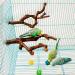 Natural Wild Grape Parrot Perch Stand for Parakeet, Budgies, Lovebirds - Style 1 - Buy Online on GoSupps.com