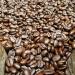 Cameron's Coffee Organic Espresso Whole Bean Dark Roast 28oz Bag - 100% Arabica - 1.75lb (Pack of 1) - Buy Online on GoSupps.com