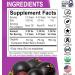 Elderberry Syrup Organic Liquid Drops - Sugar Free Immune Support Supplement for Adults & Kids Ages 1 Immune Booster - Pure Organic Elderberry Syrup Liquid Drops Tincture Extract Concentrate 1 Fl Oz - Buy Online on GoSupps.com