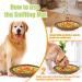 Newooe Snuffle Mat for Dogs Pet Snuffle Mat Food Sniffing Feeding Mat Natural Foraging Skills Slow Feeding Puppy Training Mat for Boredom and Stress Relief Encourages Dogs (Green Orange) - Buy Online on GoSupps.com