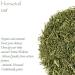 Horsetail Organic Herbal Leaf Tea 100g - Ancient Greek Remedy Equisetum Grass - Snakegrass Puzzlegrass - Buy Online on GoSupps.com