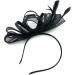 Ladies Large Feather Aliceband/Clip Fascinator for Weddings Races Royal Ascot Hair Piece (Black) - Buy Online on GoSupps.com