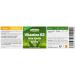 Greenfood Vitamin B2 (Riboflavin) 250 mg high dose 180 capsules no artificial additives no genetic engineering. Vegan. - Buy Online on GoSupps.com