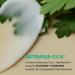 HANYUL Artemisia Toner Pads + Cream - Buy Online on GoSupps.com
