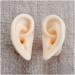 Soft Silicone Ear Model - Artificial Simulation Human Ear - Ear Acupuncture Point Model - for Acupuncture Studs Earring Earphone Bluetooth Headset Display Props