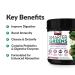 Force Factor Smarter Greens Superfoods + Digestion Powder - 2B Probiotics, Enzymes, Antioxidants, Detox Cleanse - 30 Servings - Buy Online on GoSupps.com