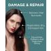 ORLANDO PITA PLAY Intensive Repair Shampoo - Fortifinity Complex for Over-Processed Color-Treated Hair | 9.2 Fl Oz - Gentle Cleansing & Moisturizing - Buy Online on GoSupps.com